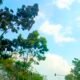 IMG 20260627 WA0013