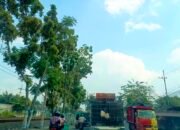 Kabar Baik, Cuaca Bojonegoro Cerah
