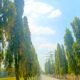 IMG 20260701 WA0020