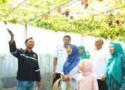 Dari Sampah Jadi Berkah, Green House Anggur di Bojonegoro Tarik Perhatian