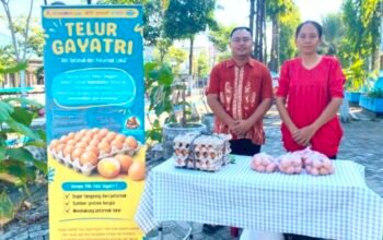 img 20260703 wa0032