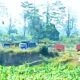 img 20260704 wa0001