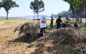 Gotong Royong TNI dan Warga Warnai Persiapan TMMD 129 di Kesongo Bojonegoro