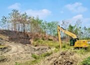 Kemarau Datang, Pemkab Bojonegoro Keruk Kali Gandong Demi Selamatkan Sawah