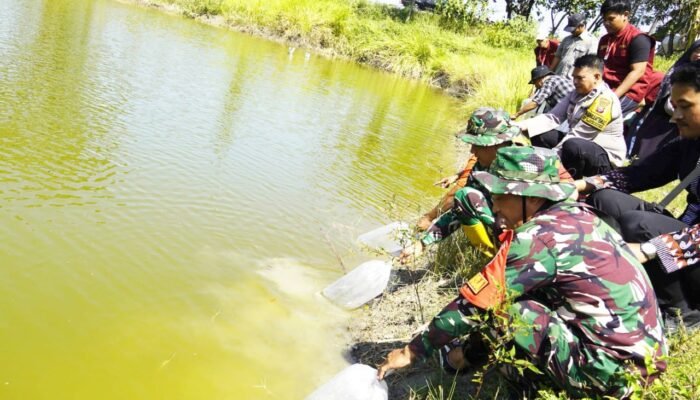 Kolaborasi TMMD Bojonegoro dan Unigoro Hidupkan Embung Kesongo dengan 11 Ribu Benih Ikan