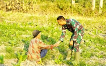 Bukan Hanya Bangun Jalan, Satgas TMMD 129 Bojonegoro Bangun Kedekatan dengan Warga img 20260720 wa0027