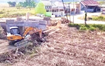 Konektivitas Desa Diperkuat, 65 Jembatan Bojonegoro Dibangun img 20260724 wa0047