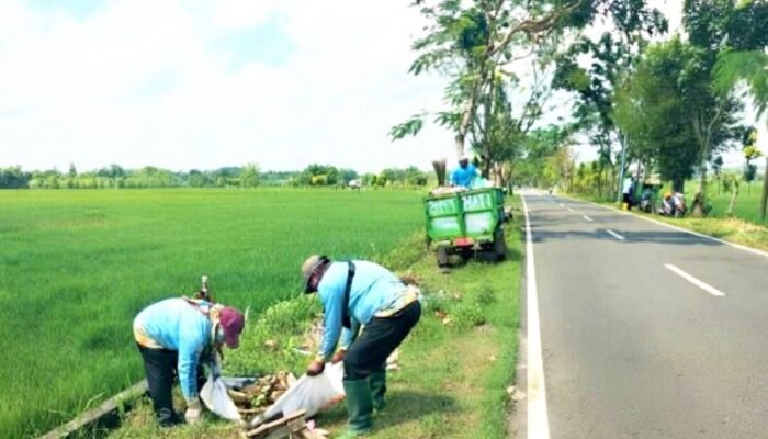 Aksi DLH Bojonegoro, Tumpukan Sampah Liar di Pinggir Jalan Langsung Diangkut