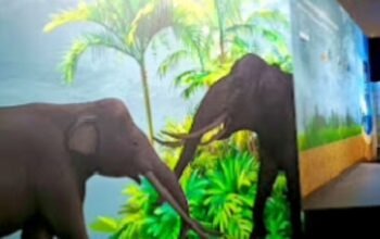Bojonegoro Miliki Pusat Informasi Geologi, Dukung Target UNESCO Global Geopark img 20260802 wa0063