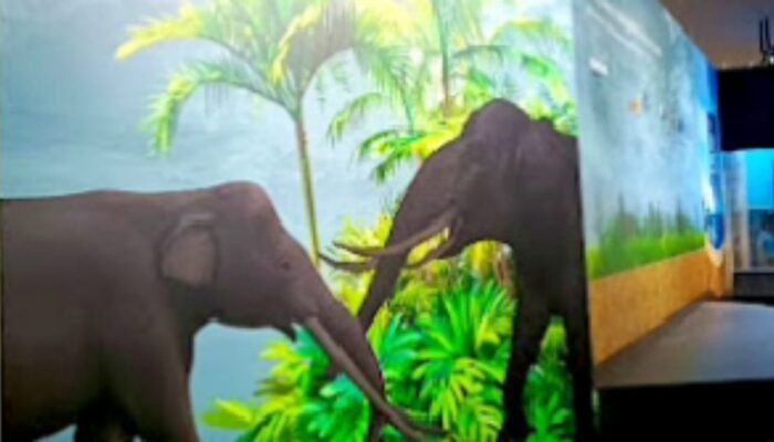 Bojonegoro Miliki Pusat Informasi Geologi, Dukung Target UNESCO Global Geopark