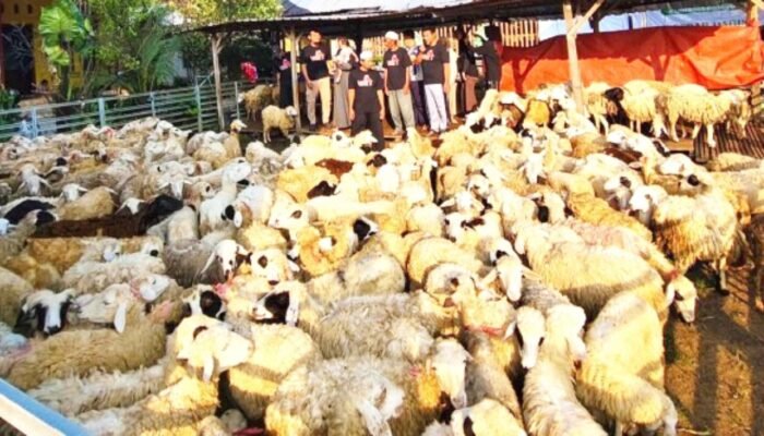 Disnakkan Bojonegoro Cetak Peternak Sukses, Aringga Jadi Inspirasi