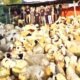 img 20260803 wa0031