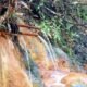 IMG 20260807 WA0010