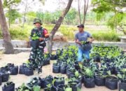 TMMD 129 Bojonegoro Perkuat Ketahanan Pangan Keluarga dengan Pembagian Bibit Sayuran