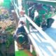IMG 20260807 WA0025