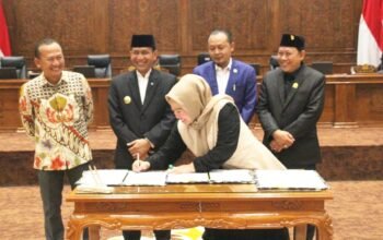 IMG 20260808 WA0005