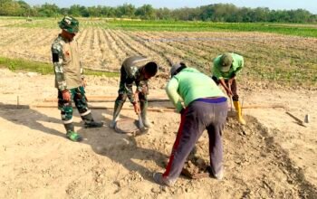TMMD Bojonegoro Bangun Lapak PKL di Rest Area Kesongo