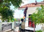 TMMD Bojonegoro Rehab SDN Kesongo 1, Genteng Mulai Dipasang