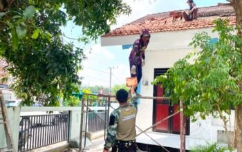TMMD Bojonegoro Rehab SDN Kesongo 1, Genteng Mulai Dipasang