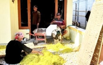 Harga Tembakau Kepoh Rp43 Ribu, Petani Punya Harapan Baru