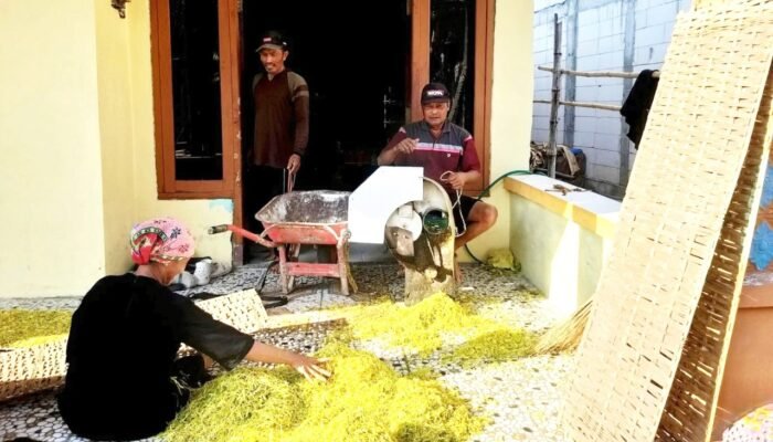 Harga Tembakau Kepoh Rp43 Ribu, Petani Punya Harapan Baru