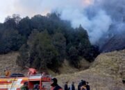 Kebakaran Hutan dan Lahan Bromo Belum Padam, Jemplang Malang Dijaga Ketat