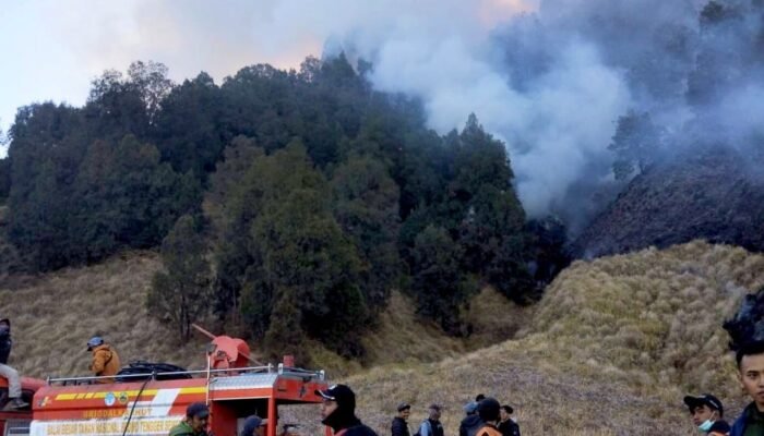 Kebakaran Hutan dan Lahan Bromo Belum Padam, Jemplang Malang Dijaga Ketat