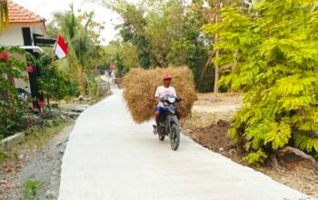 TMMD Bojonegoro Bangun Jalan Cor di Mundu, Mobilitas Warga Kini Lebih Mudah
