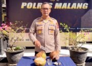 Aniaya Warga Pakai Kelapa dan Kayu, Pria di Gedangan Malang Akhirnya Ditangkap