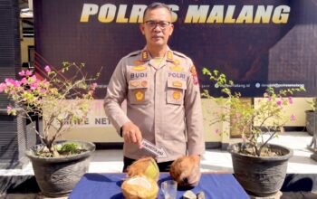 Aniaya Warga Pakai Kelapa dan Kayu, Pria di Gedangan Malang Akhirnya Ditangkap