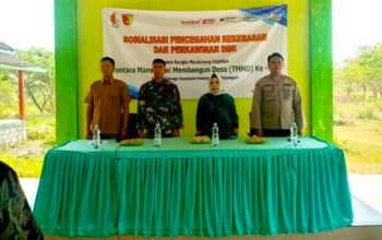 IMG 20260812 WA0033