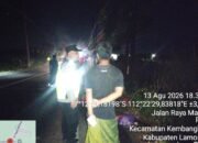 Kebakaran Tebu Mengamuk, Polisi dan Damkar Lamongan Bergerak Cepat