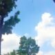 IMG 20260817 WA0004