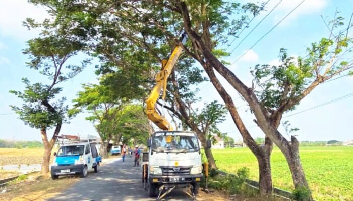 PACER+ PLN ULP Sumberrejo Bergerak, Jaringan Listrik Bojonegoro Diperkuat