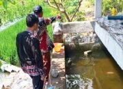 Gokil, Lahan Sempit di Bojonegoro Disulap Jadi Ladang Bertingkat