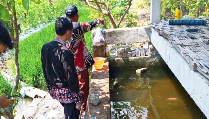 Gokil, Lahan Sempit di Bojonegoro Disulap Jadi Ladang Bertingkat