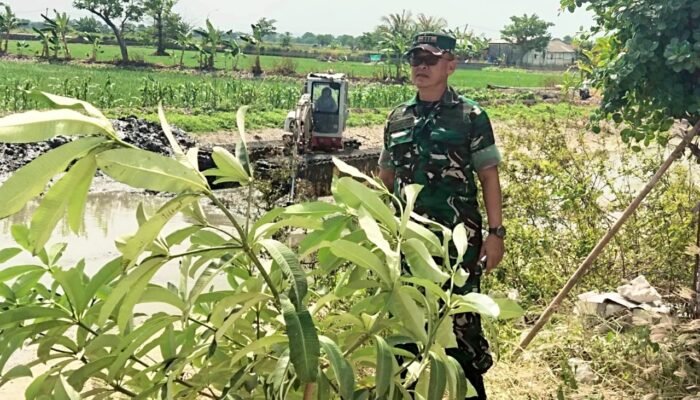 Babinsa Kawal Normalisasi Sungai Sidomulyo Lamongan, Ancaman Genangan Ditekan