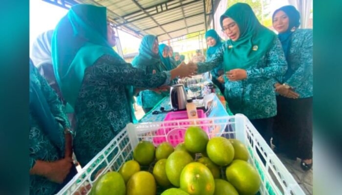 Jeruk Pamelo Jadi Ikon, UMKM Semenkidul Bojonegoro Naik Kelas