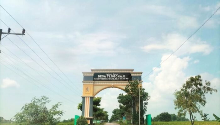 Panas Terik Malam Sejuk, Cek Prakiraan Cuaca Lengkap Bojonegoro 25 Agustus