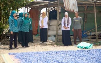Sulap Sampah Jadi Bayar Pajak, Inovasi Keren Desa Tebon Bikin TP PKK Bojonegoro Takjub