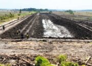 Embung Rowoglandang Bojonegoro Diperkuat, Ini Dampaknya ke Petani