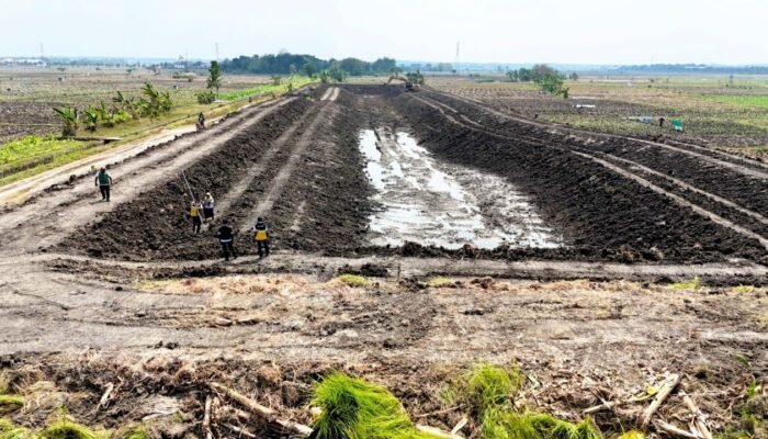 Embung Rowoglandang Bojonegoro Diperkuat, Ini Dampaknya ke Petani