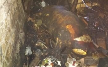 Bediang Jadi Petaka, Kandang Sapi di Babat Lamongan Terbakar