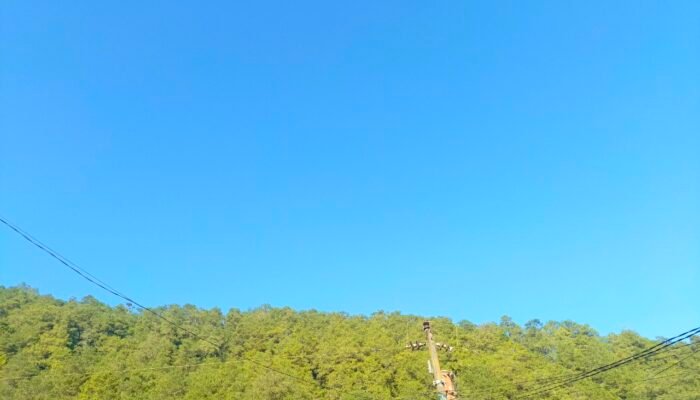 Bojonegoro Diprediksi Cerah Seharian, Suhu Siang 32°C