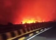 Langit Tumbang Nusa Pulang Pisau Memerah, Karhutla Besar Bakar Lahan di Pulau Pisau