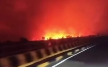 Langit Tumbang Nusa Pulang Pisau Memerah, Karhutla Besar Bakar Lahan di Pulau Pisau