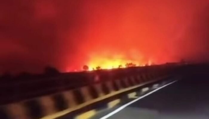 Langit Tumbang Nusa Pulang Pisau Memerah, Karhutla Besar Bakar Lahan di Pulau Pisau