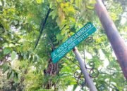 Wajah Kota Bojonegoro Bakal Makin Hijau, 2 Taman Baru Disiapkan