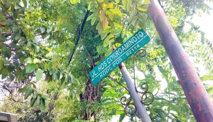 Wajah Kota Bojonegoro Bakal Makin Hijau, 2 Taman Baru Disiapkan