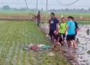 Ibu dan Anak Tewas di Sawah Sidomukti Bojonegoro, Diduga Terjebak Setrum Tikus